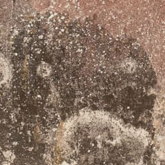 Close-up of damp patches and flaking paint on a wall